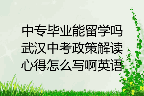 中专毕业能留学吗武汉中考政策解读心得怎么写啊英语