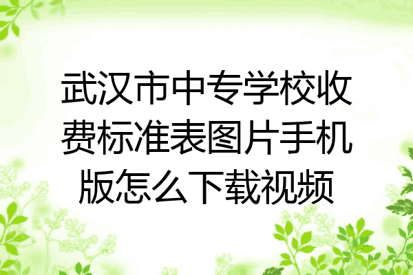 武汉市中专学校收费标准表图片手机版怎么下载视频