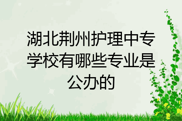 湖北荆州护理中专学校有哪些专业是公办的