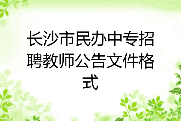 长沙市民办中专招聘教师公告文件格式