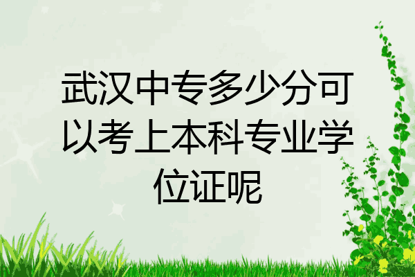 武汉中专多少分可以考上本科专业学位证呢
