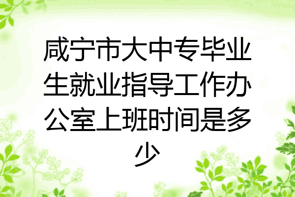 咸宁市大中专毕业生就业指导工作办公室上班时间是多少