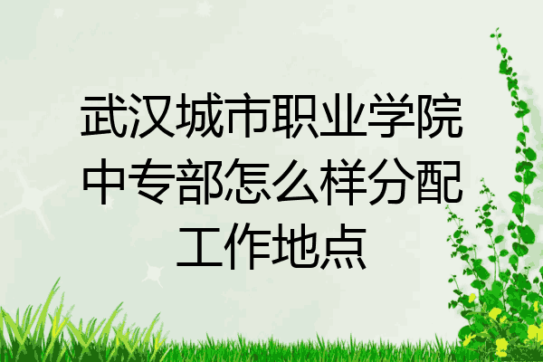 武汉城市职业学院中专部怎么样分配工作地点