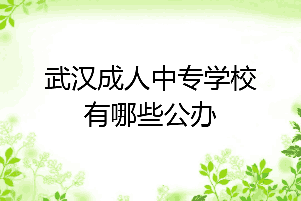 武汉成人中专学校有哪些公办