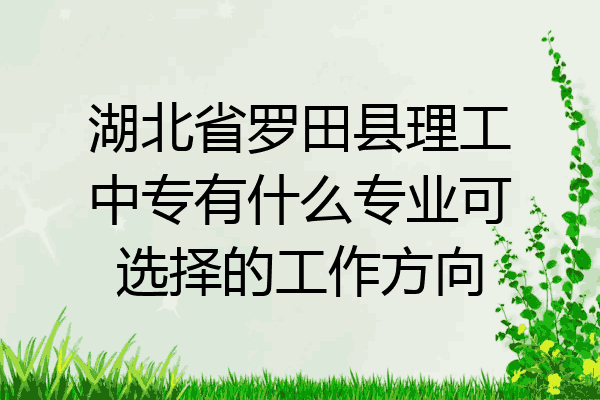 湖北省罗田县理工中专有什么专业可选择的工作方向