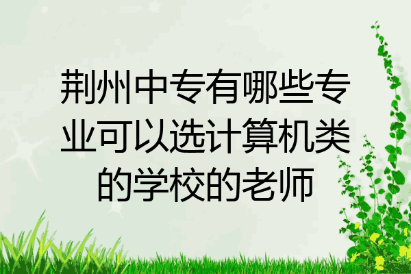荆州中专有哪些专业可以选计算机类的学校的老师
