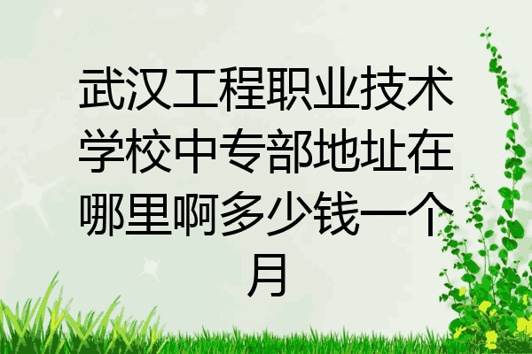武汉工程职业技术学校中专部地址在哪里啊多少钱一个月