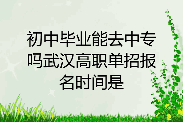 初中毕业能去中专吗武汉高职单招报名时间是