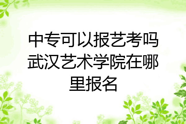 中专可以报艺考吗武汉艺术学院在哪里报名
