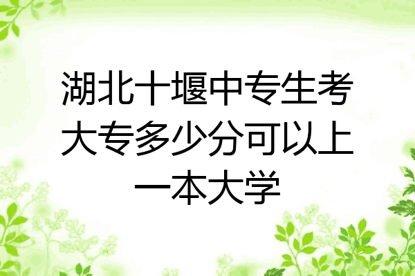 湖北十堰中专生考大专多少分可以上一本大学