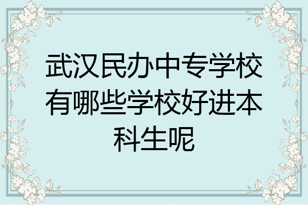 武汉民办中专学校有哪些学校好进本科生呢