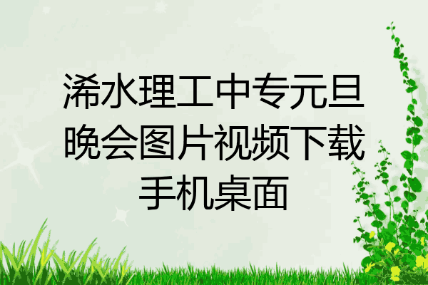 浠水理工中专元旦晚会图片视频下载手机桌面