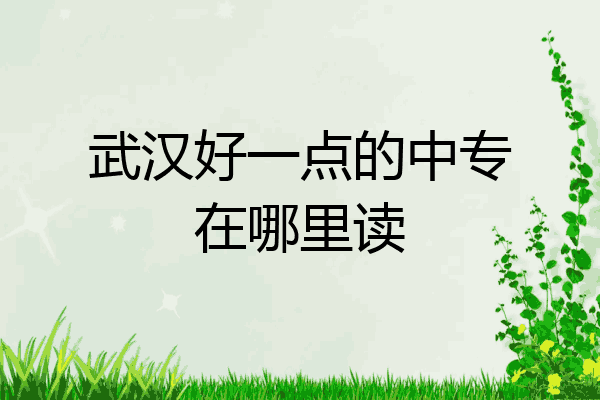 武汉好一点的中专在哪里读