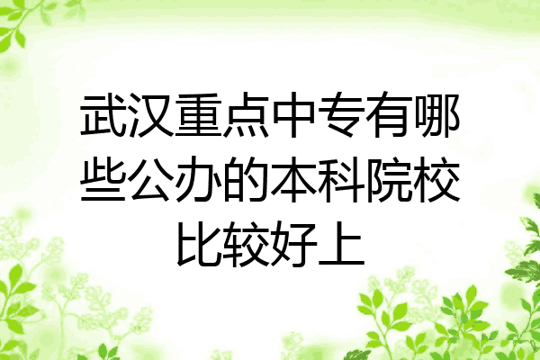 武汉重点中专有哪些公办的本科院校比较好上