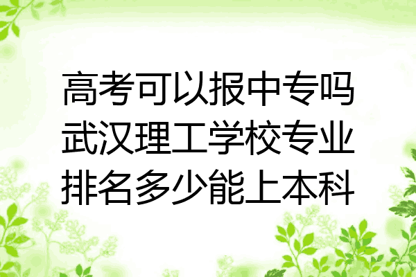 高考可以报中专吗武汉理工学校专业排名多少能上本科