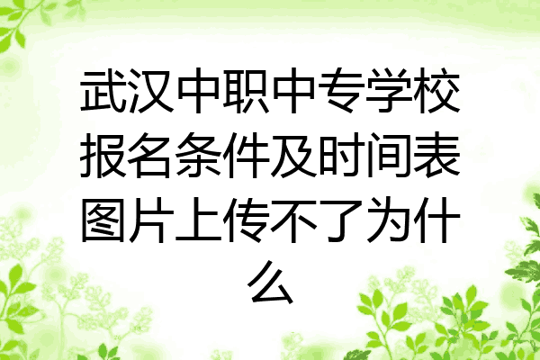 武汉中职中专学校报名条件及时间表图片上传不了为什么