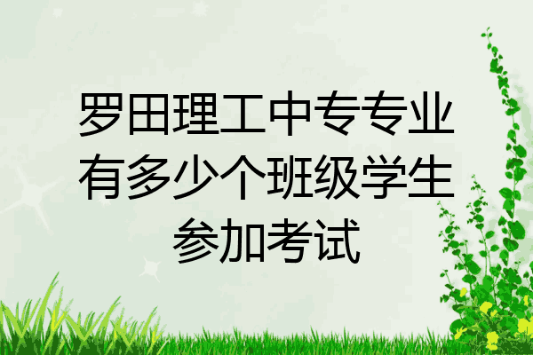 罗田理工中专专业有多少个班级学生参加考试