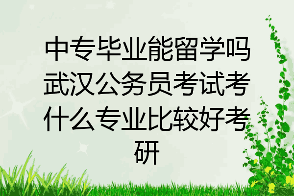中专毕业能留学吗武汉公务员考试考什么专业比较好考研