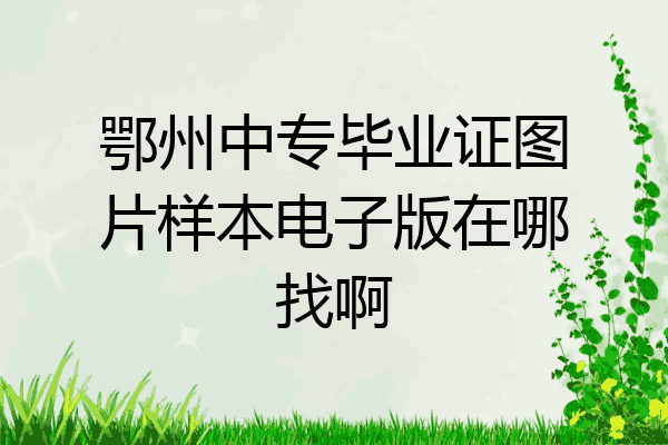 鄂州中专毕业证图片样本电子版在哪找啊