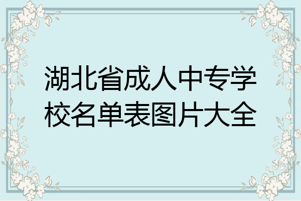 湖北省成人中专学校名单表图片大全