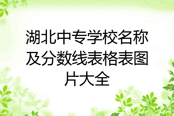 湖北中专学校名称及分数线表格表图片大全
