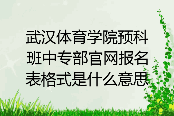 武汉体育学院预科班中专部官网报名表格式是什么意思