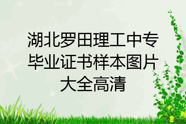 湖北罗田理工中专毕业证书样本图片大全高清
