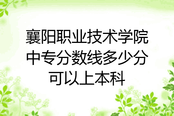 襄阳职业技术学院中专分数线多少分可以上本科