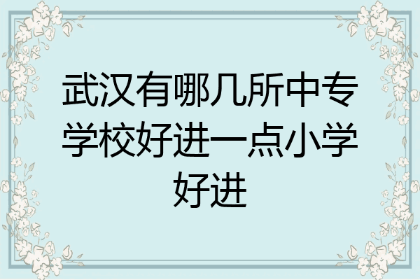 武汉有哪几所中专学校好进一点小学好进