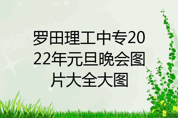 罗田理工中专2022年元旦晚会图片大全大图