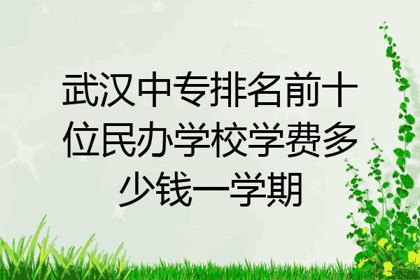 武汉中专排名前十位民办学校学费多少钱一学期