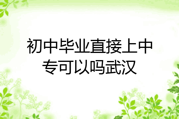 初中毕业直接上中专可以吗武汉