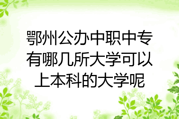 鄂州公办中职中专有哪几所大学可以上本科的大学呢