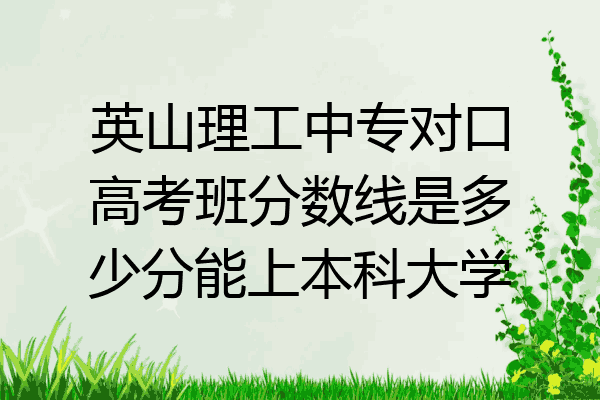 英山理工中专对口高考班分数线是多少分能上本科大学