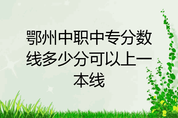 鄂州中职中专分数线多少分可以上一本线