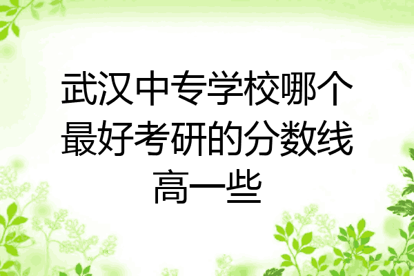 武汉中专学校哪个最好考研的分数线高一些