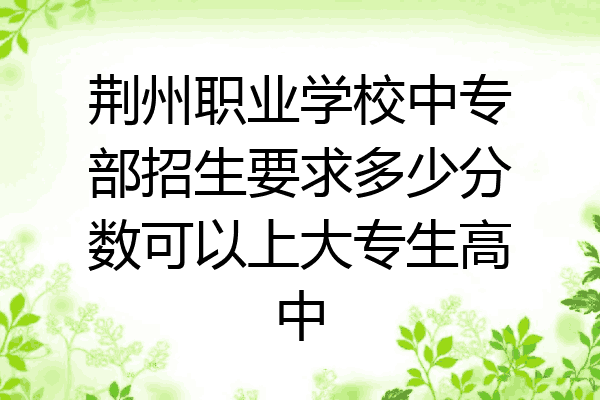荆州职业学校中专部招生要求多少分数可以上大专生高中