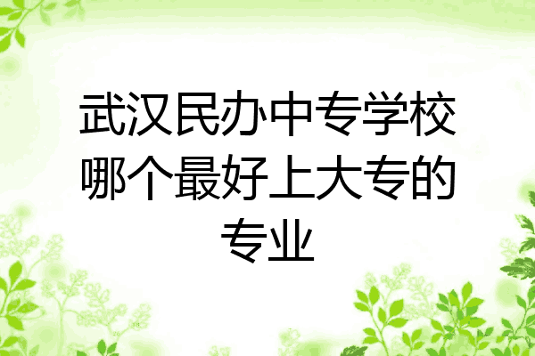 武汉民办中专学校哪个最好上大专的专业