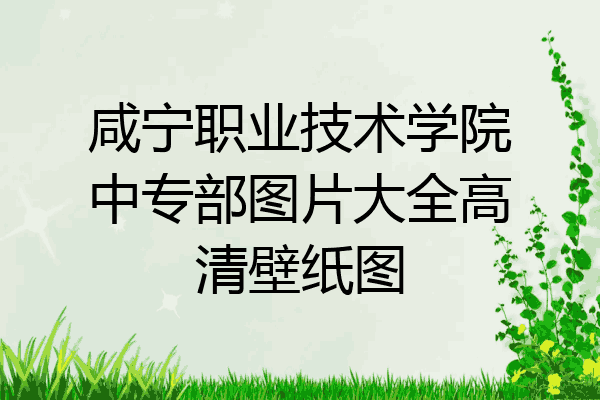 咸宁职业技术学院中专部图片大全高清壁纸图