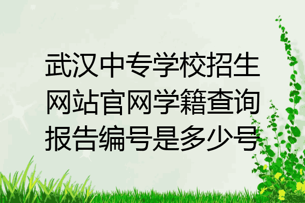 武汉中专学校招生网站官网学籍查询报告编号是多少号
