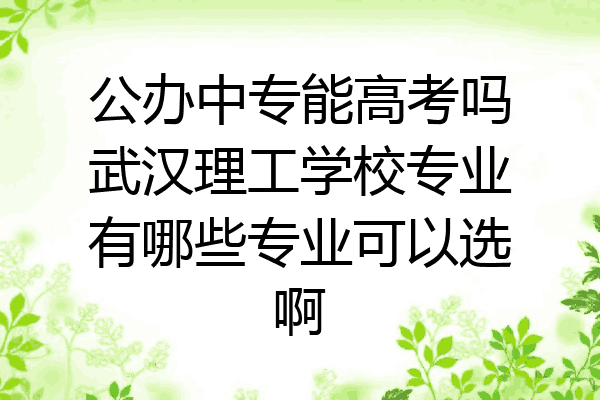公办中专能高考吗武汉理工学校专业有哪些专业可以选啊