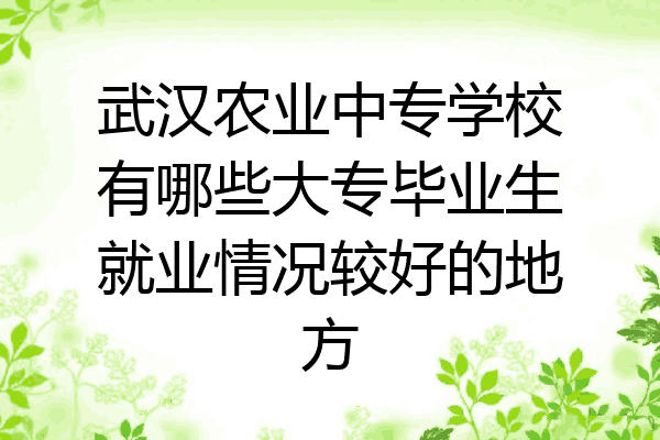 武汉农业中专学校有哪些大专毕业生就业情况较好的地方