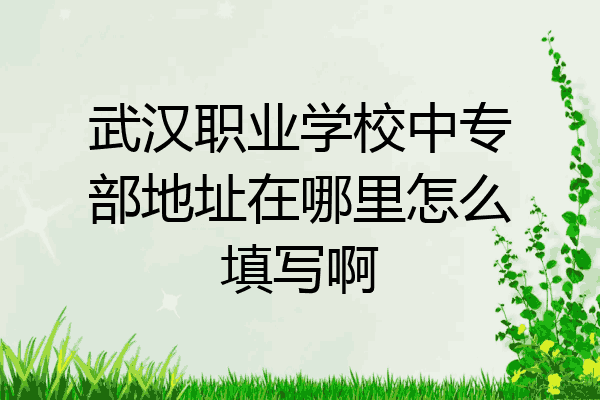 武汉职业学校中专部地址在哪里怎么填写啊