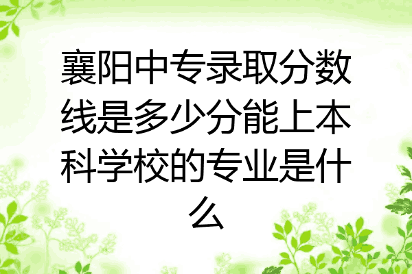 襄阳中专录取分数线是多少分能上本科学校的专业是什么
