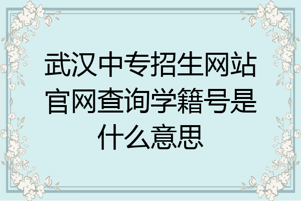 武汉中专招生网站官网查询学籍号是什么意思