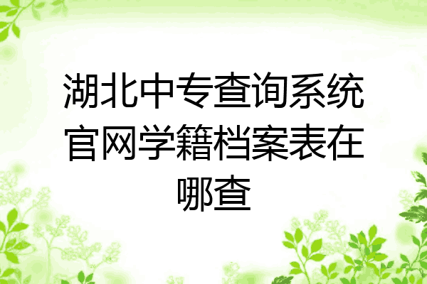 湖北中专查询系统官网学籍档案表在哪查
