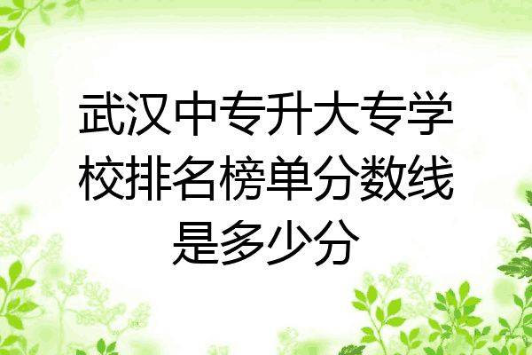武汉中专升大专学校排名榜单分数线是多少分