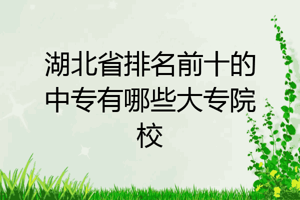 湖北省排名前十的中专有哪些大专院校
