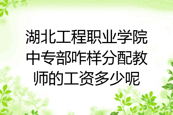湖北工程职业学院中专部咋样分配教师的工资多少呢