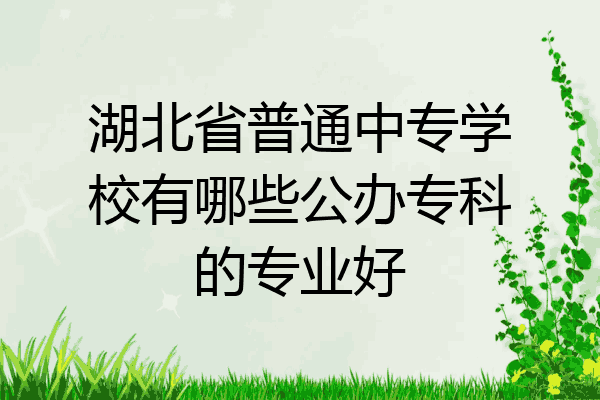 湖北省普通中专学校有哪些公办专科的专业好